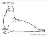 Seal Coloring Sheet sketch template