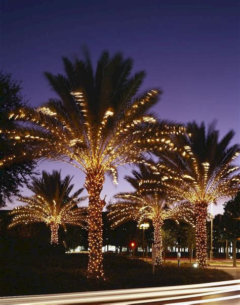 Outdoor Christmas Lights Decoration Ideas Home to Z | Outdoor christmas lights, Outdoor ...