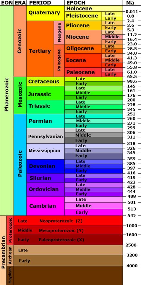 a scientist is using relative dating to determine the age of a fossil that she discovered