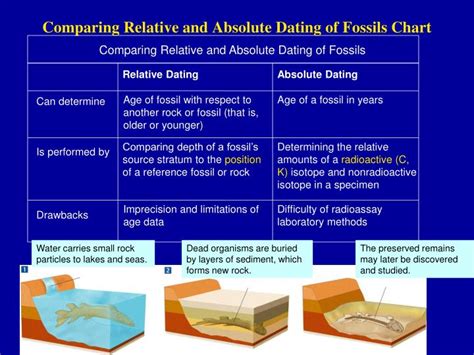 absolute and relative dating of fossils
