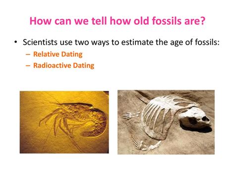 besides relative dating how can scientists determine the age of fossils