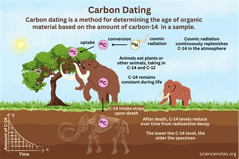 carbon dating doesnt work