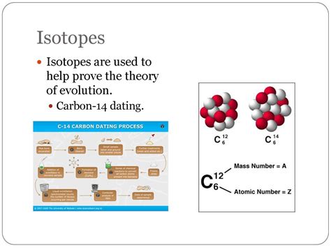 carbon dating proving evolution