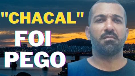 chacal chefe