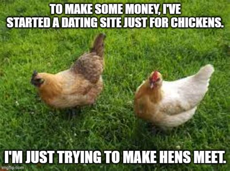 chicken dating