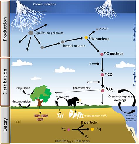 cosmic rays and carbon dating