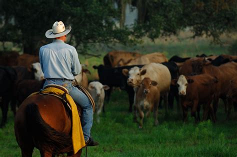 dating a cattle rancher
