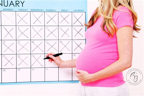 dating calendar pregnancy