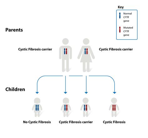 dating cystic fibrosis