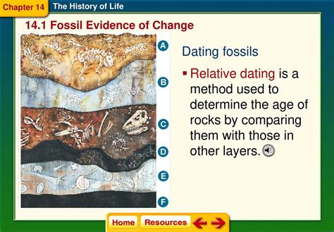 dating fossils by comparing rock layers