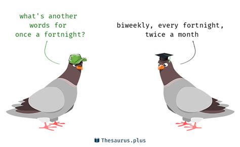 dating once a fortnight