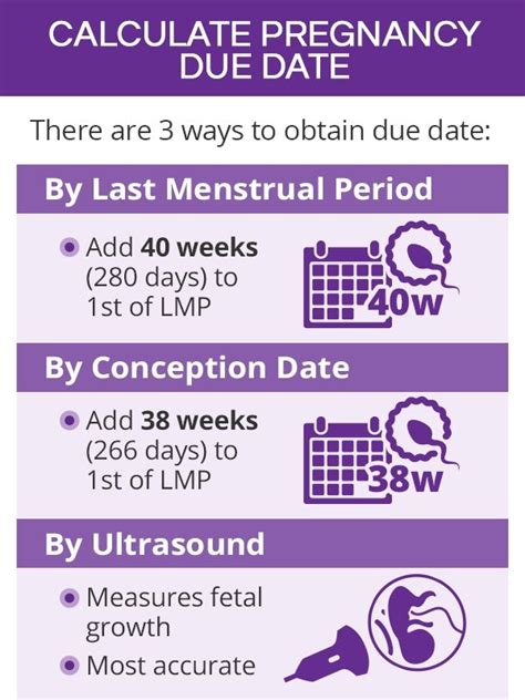 dating pregnancy last menstrual period