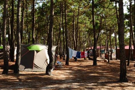 ericeira camping & bungalows