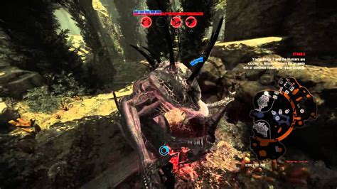 evolve matchmaking