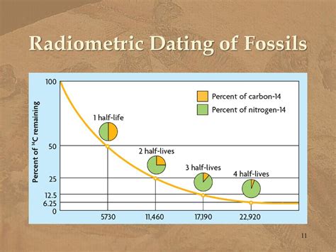 how is radiometric dating of fossils performed quizlet