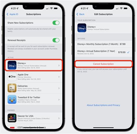 how to cancel ace dating app subscription