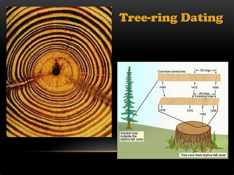 is tree ring dating relative or absolute