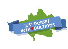 matchmaking dorset