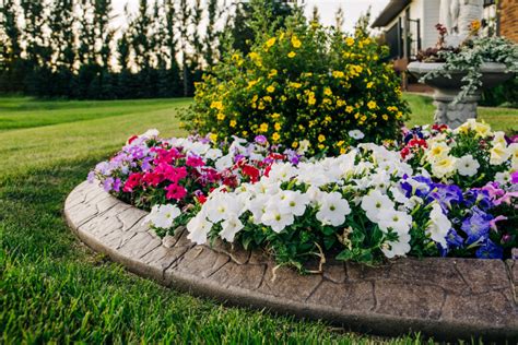 plantas para jardim externo