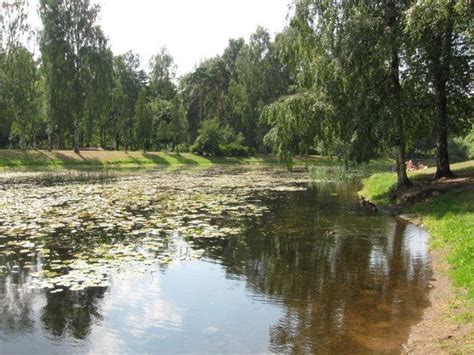 pond dating site