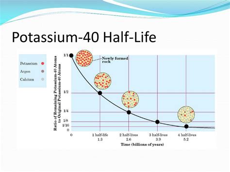 potassium 40 dating calculator