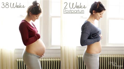 pregnant after 2 weeks of dating