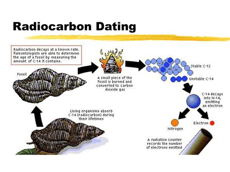 radiocarbon dating can be used to determine the age of