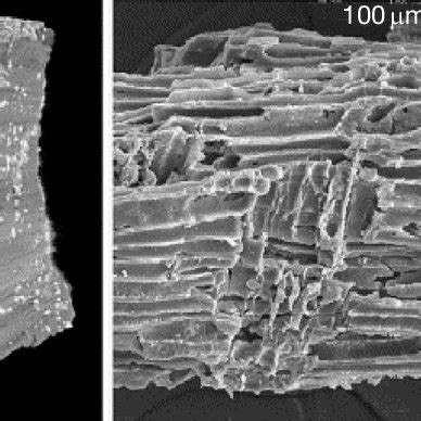 radiocarbon dating of charcoals