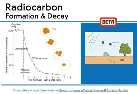 radiocarbon dating tests