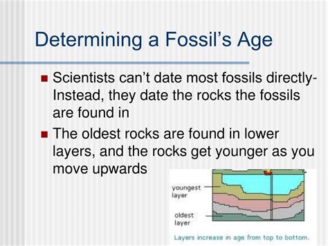 relative dating of rock strata used fossils to help estimate the age of a stratum