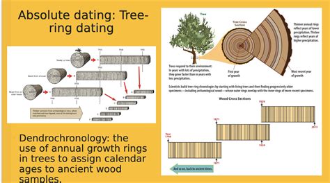 tree rings absolute dating