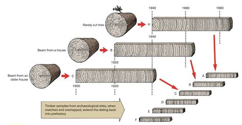 tree-ring dating and archaeology