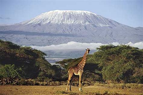 Килиманджаро
 2024.04.19 09:34