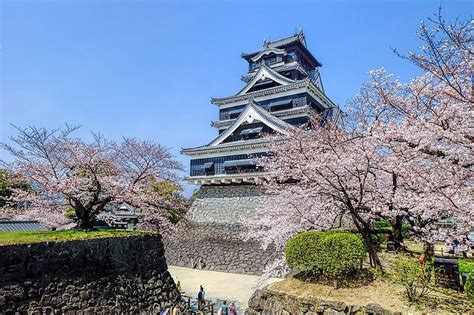 5 Kuil Di Jepang Yang Wajib Dikunjungi Bukan DEWA136 - DEWA136