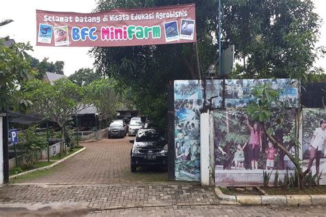 BINTARO88 Kebun Edukasi Bintaro Tempat Belajar Dan Rekreasi BINTARO88 - BINTARO88