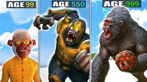 KINGKONG999 The Best Experienced Gaming Site In 2024 KINGKONG999 Slot - KINGKONG999 Slot