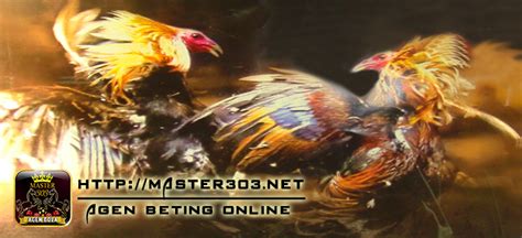 MASTER303 Judi Ayam Bangkok Sabung Ayam Online SV388 MASTER303 Slot - MASTER303 Slot