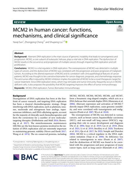 MCM2 In Human Cancer Functions Mechanisms And Clinical MCM2 - MCM2