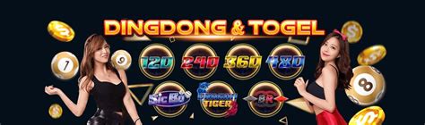 SHIO88   SHIO88 Angkanet Aplikasi Togel - SHIO88