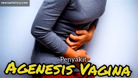 Agenesis Vagina Penyebab Gejala Pengobatan Doktersehat Agenesia - Agenesia