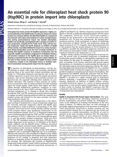 An Essential Role For Chloroplast Heat Shock Protein CR88 - CR88