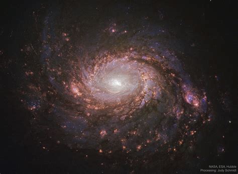 Apod 2020 March 17 M77 Spiral Galaxy With M77 - M77