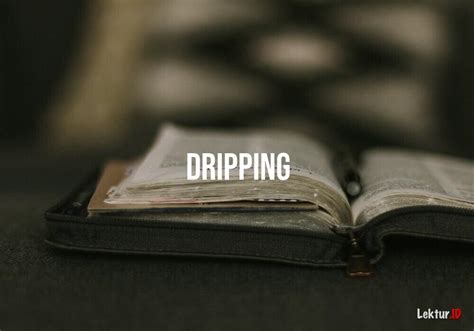 Arti Kata Dripping Di Kamus Bahasa Inggris Terjemahan Dripping Resmi - Dripping Resmi