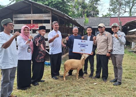 Berdayakan Peternak Lokal Yatim Mandiri Launching Program SUHU138 Alternatif - SUHU138 Alternatif