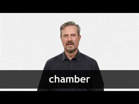 Chamber Definition And Meaning Collins English Dictionary Chember - Chember