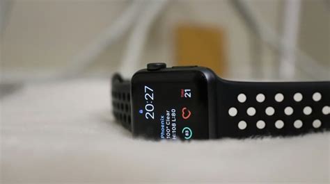 Dokter Hewan Menggunakan Apple Watch Pantau Jantung Singa 788liga Resmi - 788liga Resmi