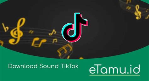 Download Tiktok MP3 Sound Online For Free Tikmate Tikmate - Tikmate