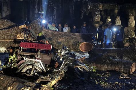 Fierce Storm Topples Tree At Cambodian Angkor Temple Cambodia - Cambodia