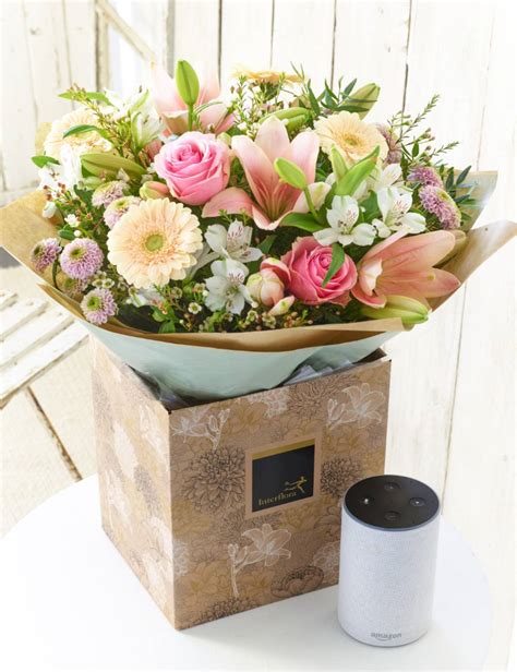 Flower Delivery Send Flowers Plants Amp Gifts Bloom Flowers - Flowers