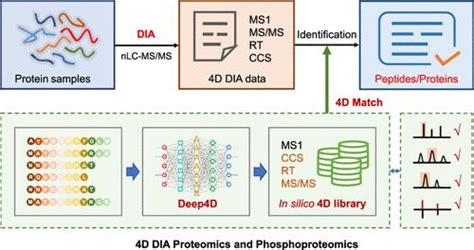 High Coverage Four Dimensional Data Independent Acquisition Proteomics Data 4d - Data 4d